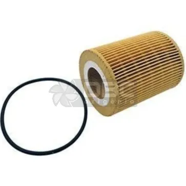 Filtro de Óleo Japanparts FOECO099