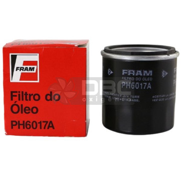 Filtro de Óleo Kawasaki Ninja ZX-6R (Fram PH6017A)