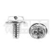 Kit com 4 Parafusos Phillips (6-32 X 6mm Cabeça Hex) PSU Hd