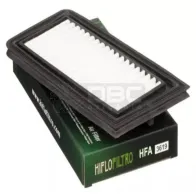 Filtro de Ar SUZUKI BURGMAN (Hiflo HFA3619) (02-14)
